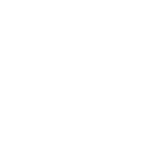Stone Diffuser