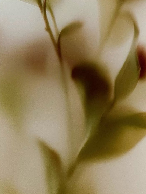 Quiet Diffusion